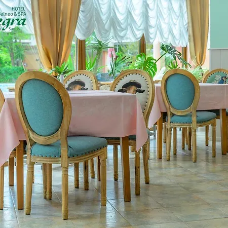 Отель Allegra Balneo & Золотые Пески