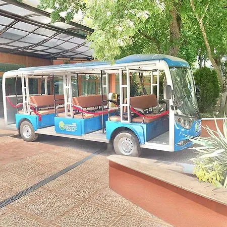 Allegra Balneo & Отель Золотые Пески