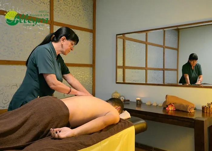 Ξενοδοχείο Allegra Balneo & 4*